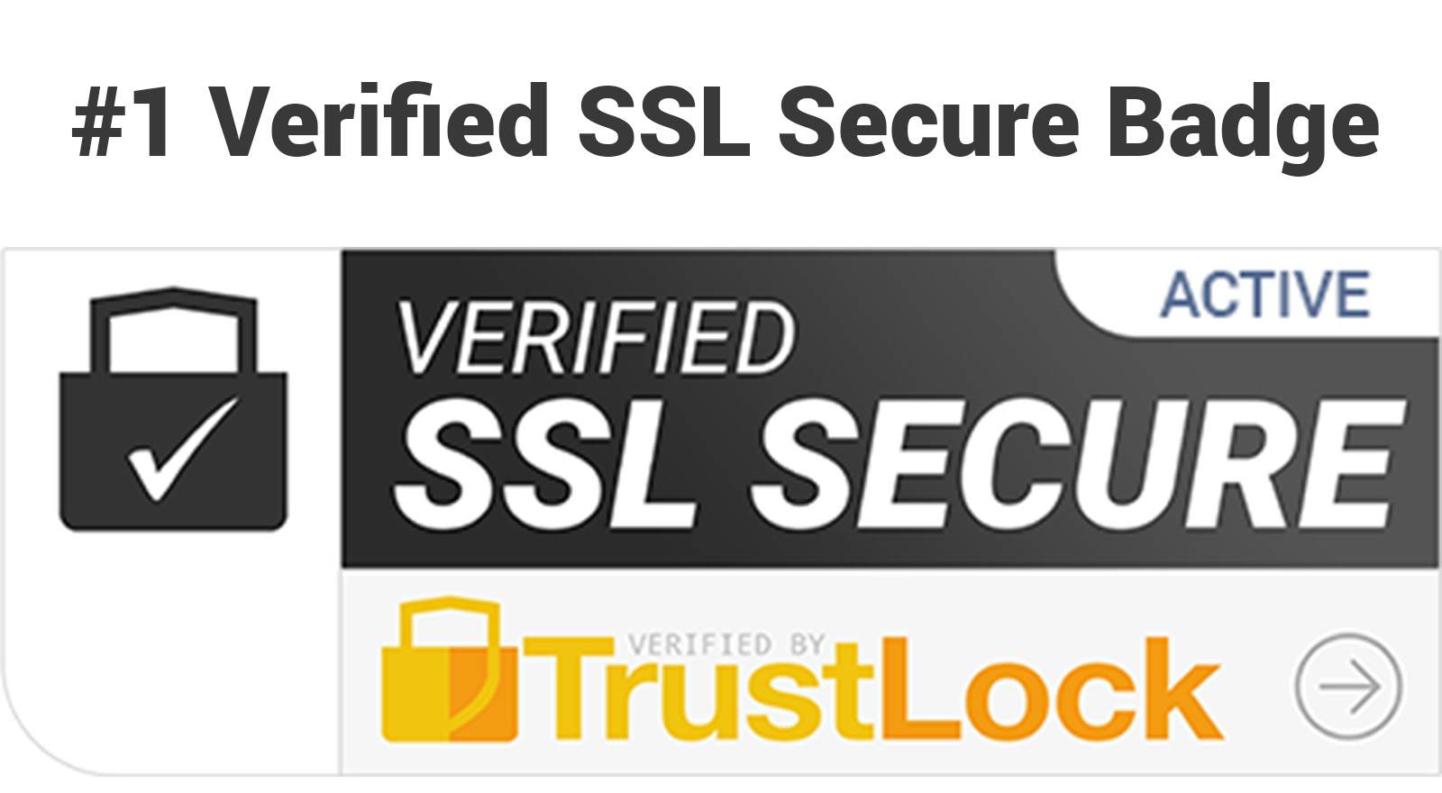 Verified Ssl Secure Trust Badge Seal